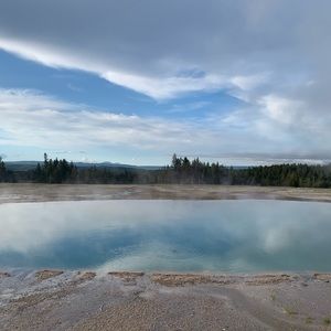 Meet your Posher, Genevieve